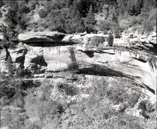 Visitor fatality off East Rim Trail.