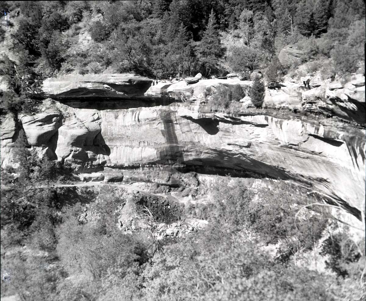 Visitor fatality off East Rim Trail.