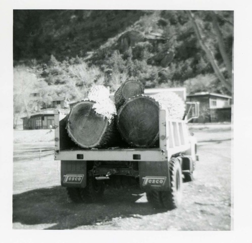 BW photo of the removal of debris from cleaning and/ or pruning.