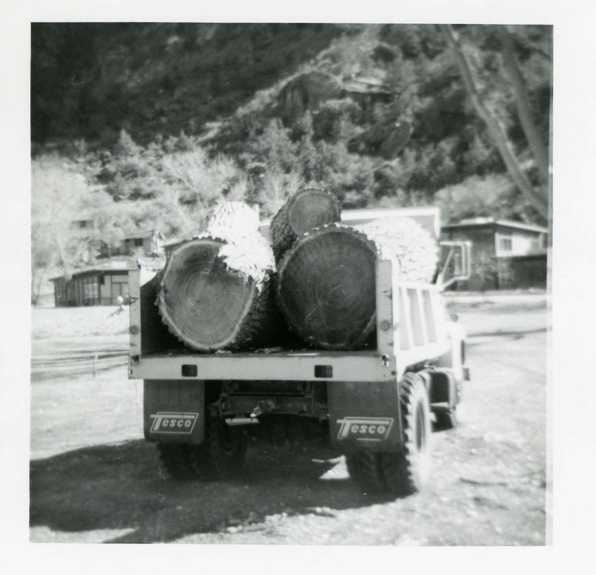 BW photo of the removal of debris from cleaning and/ or pruning.