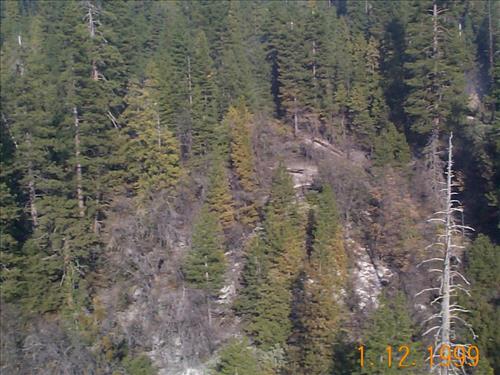 Aerial shots of the Turner Ridge prescribed fire, January 12, 1999, Yosemite National Park