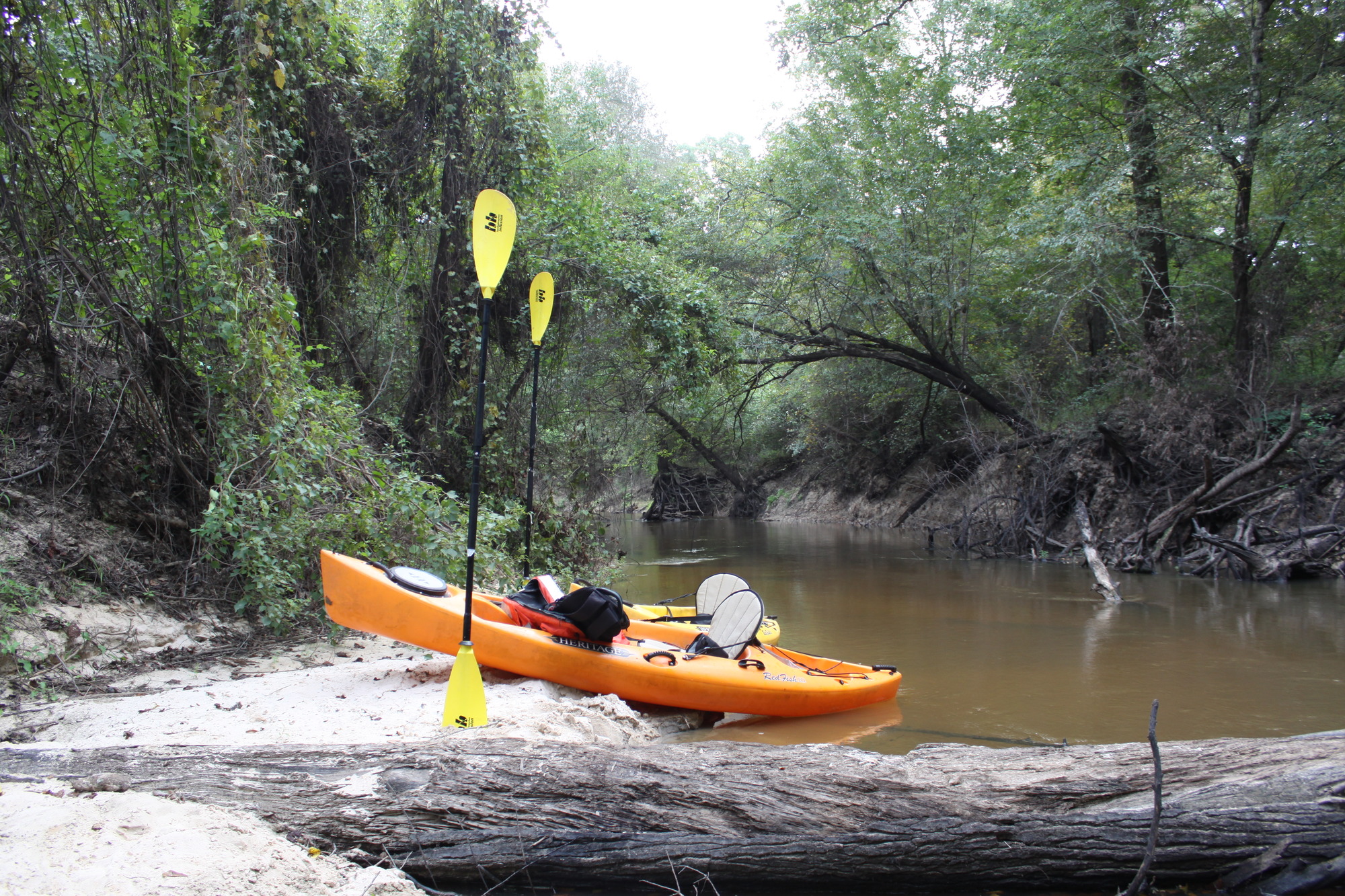 Two kayaks pulled up onto a sandbar along a tree-lined creek