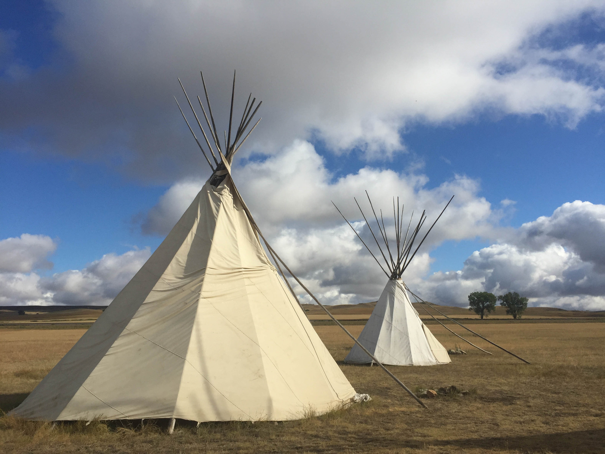 Two tipis in a field