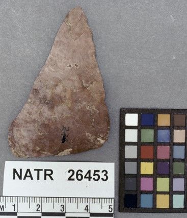 NATR   26453 -- Untyped projectile point