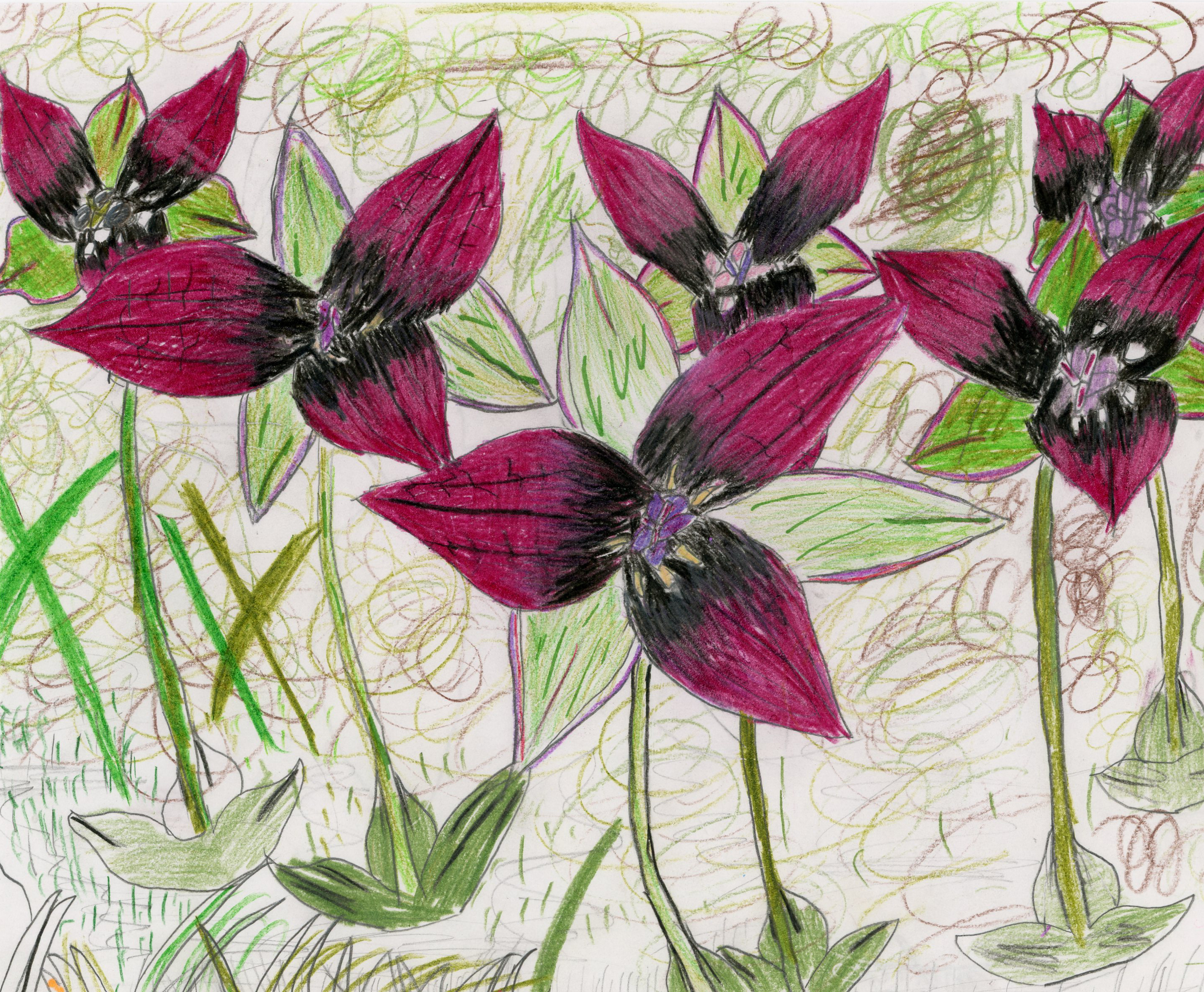 artwork of red three petaled flowers