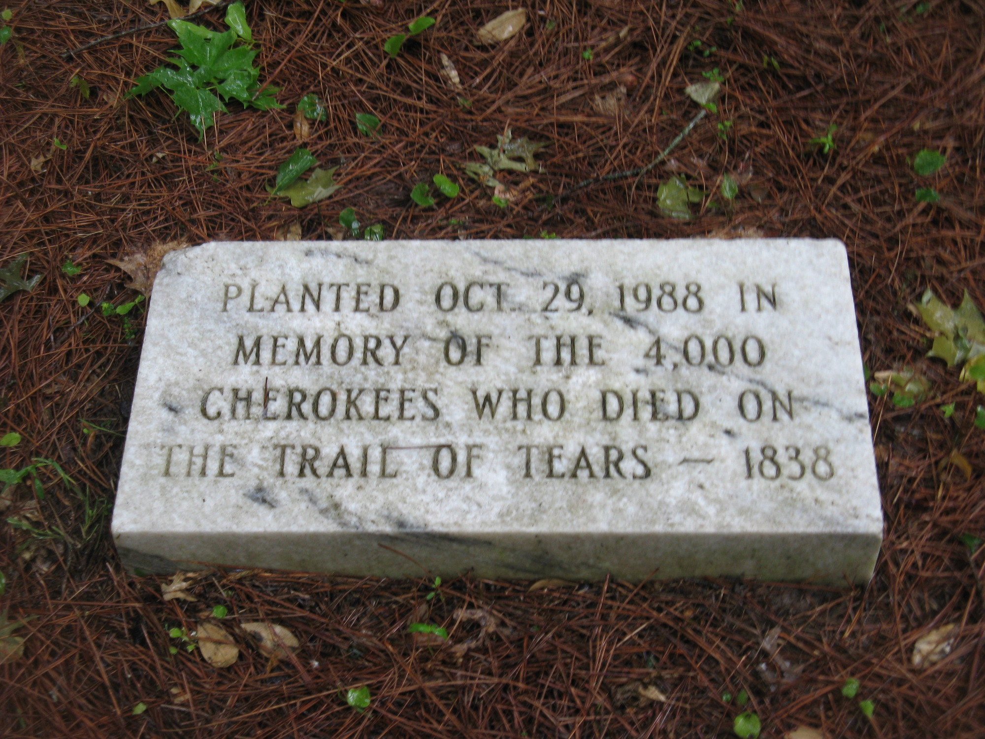 A marker in memory of the 4,000 Cherokees who died on the Trail of Tears