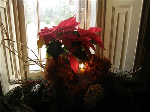 Winter Celebration at Martin Van Buren National Historic Site in December 2009