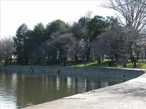 Repair portions of Deteriorating Tidal Basin Seawall