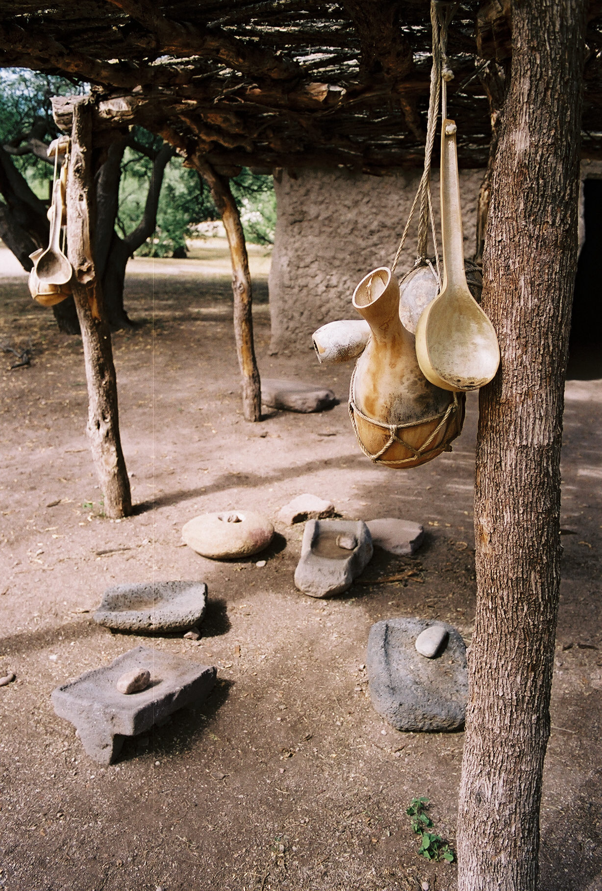 O'odham dwelling with hanging gourds and grinding stones