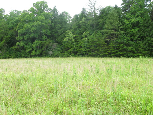 Plot Code: GRSM_AA_0470_5