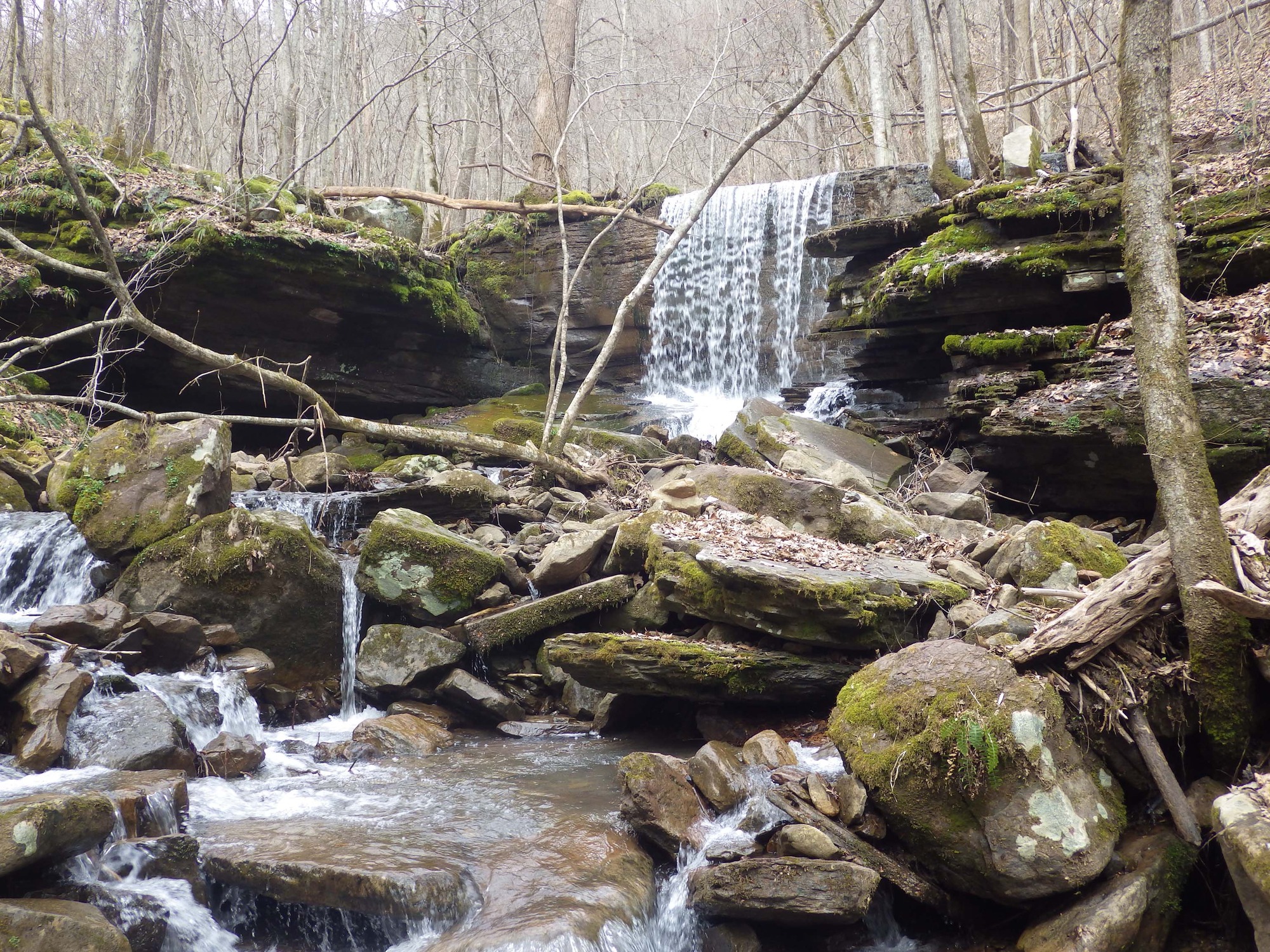 Site visit photo showing the upstream (UP) or downstream (DN) view of a wadeable stream reach taken during benthic macroinvertebrate monitoring at New River Gorge National Park and Preserve.