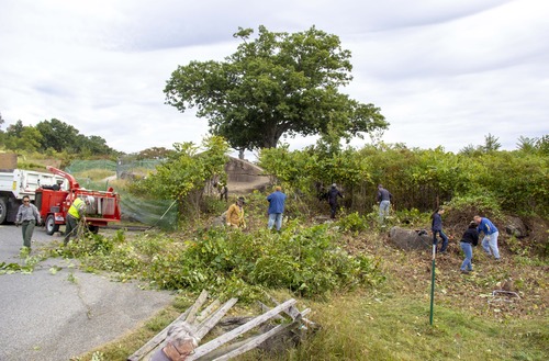 Nine people in Devil's Den using tools to remove vegetation from the landscape.