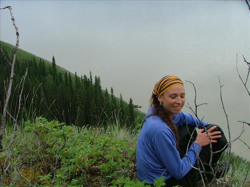 11 Yukon-Charley Rivers National Preserve Peregrine Falcon Survey July 2006