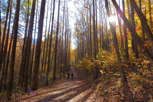 Two people walk along a unpaved road in the woods; full fall color