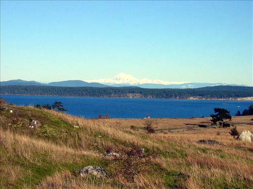 American Camp prairie