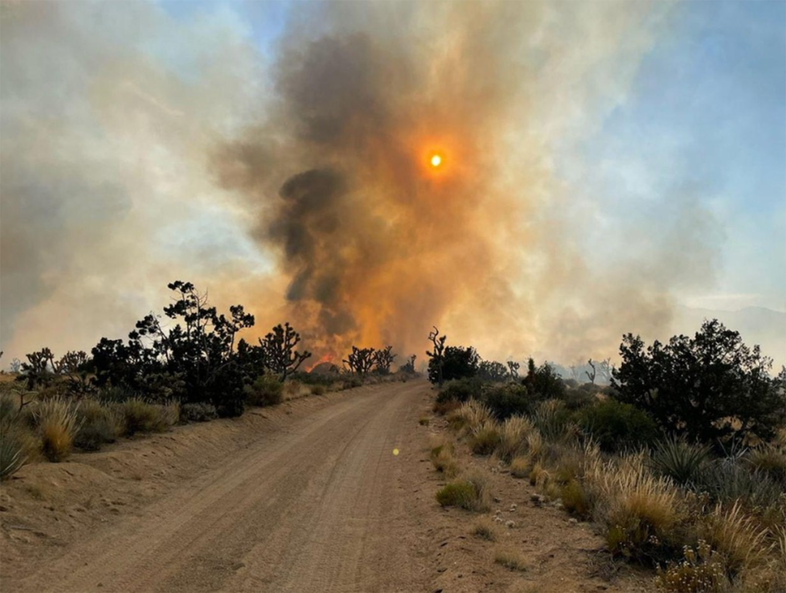 orange sun shines through dark smoke column near road in joshua tree forest