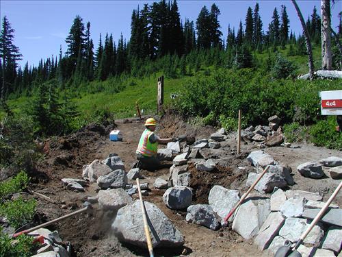 Construction of ADA Trail at Paradise Visitor Center