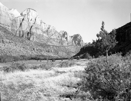 Habitat record near Visitor Center.