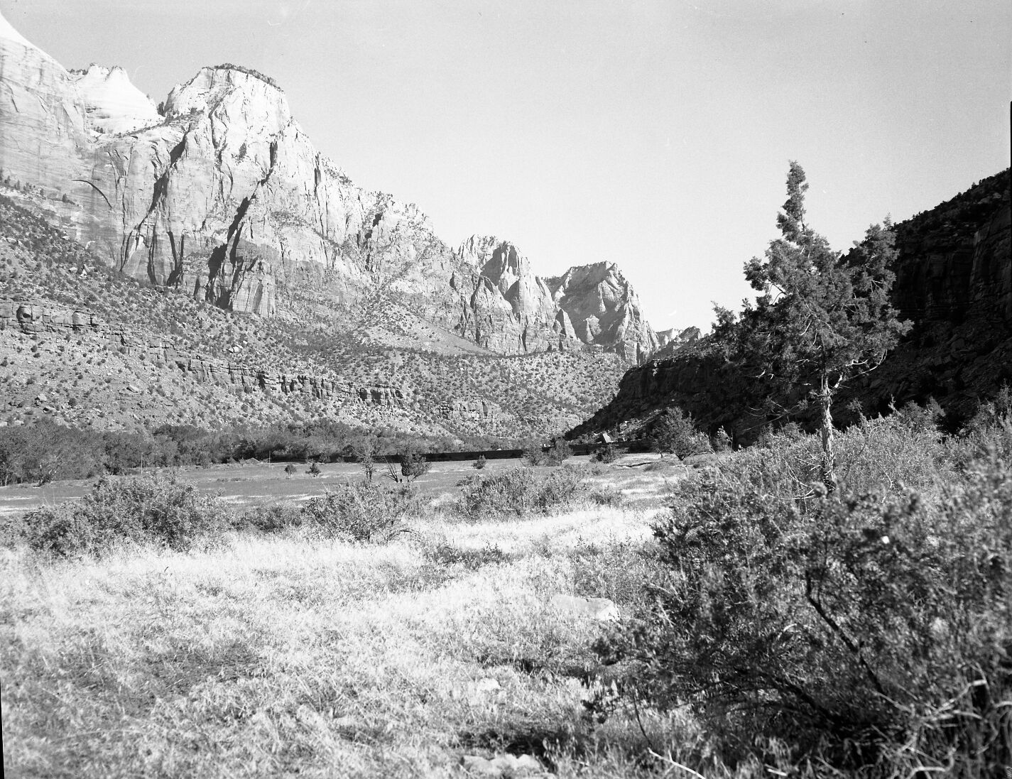 Habitat record near Visitor Center.