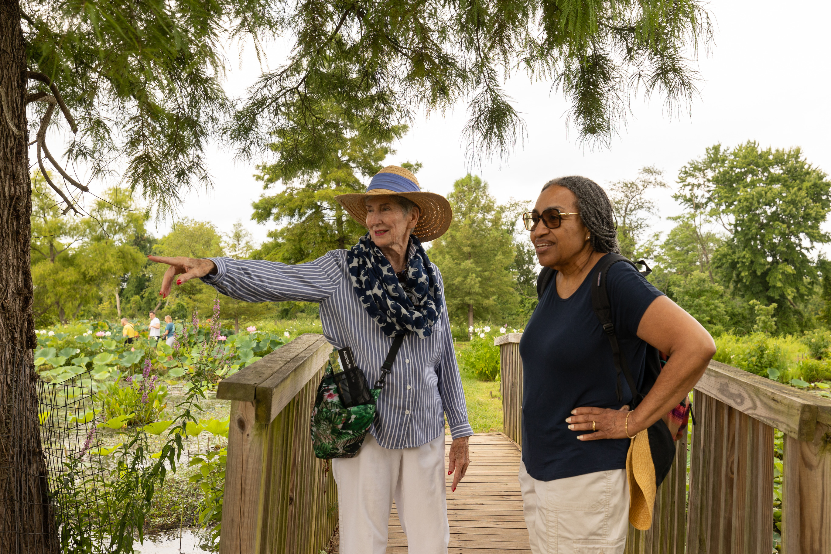 Two visitors stand on a bridge and look out at the tidal pools
