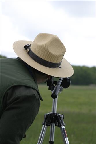 Bird watching at Coliseum site