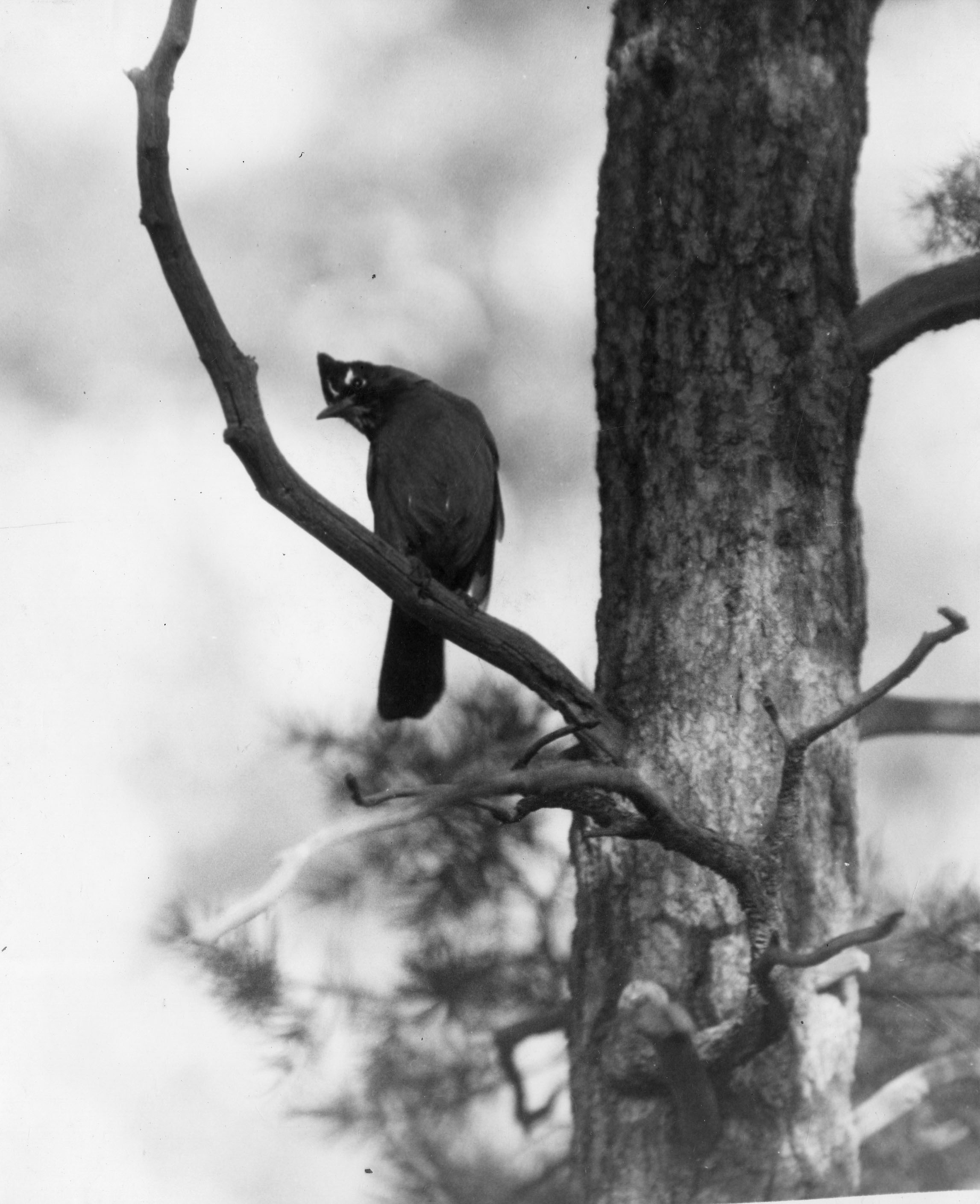 Grand Canyon National Park