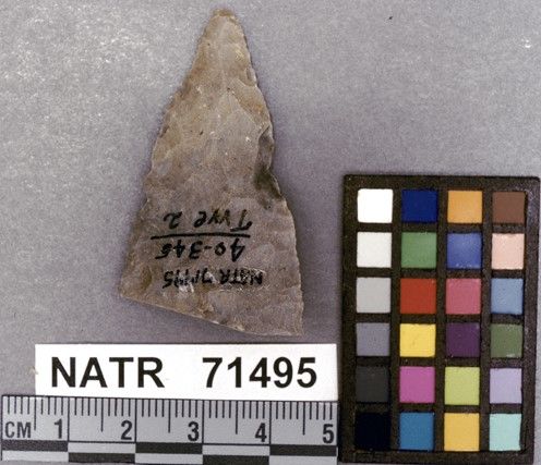 NATR   71495 -- Untyped projectile point