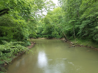 A river surrounded by trees in a wooded area.