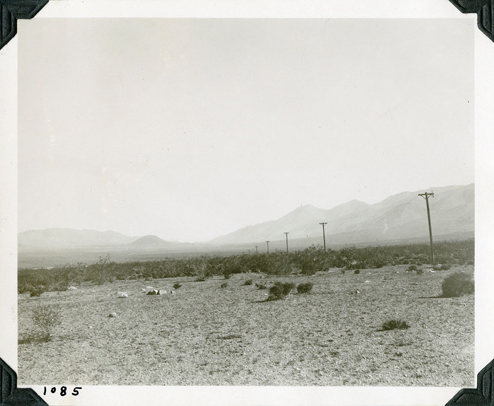 This is an historic black and white photograph from the Scotty's Castle Historic Photograph Collection, Death Valley National Park of desert landscape with sparce vegetation. Mountains in distance. Utility poles running off to left. Number in black ink in lower left corner.