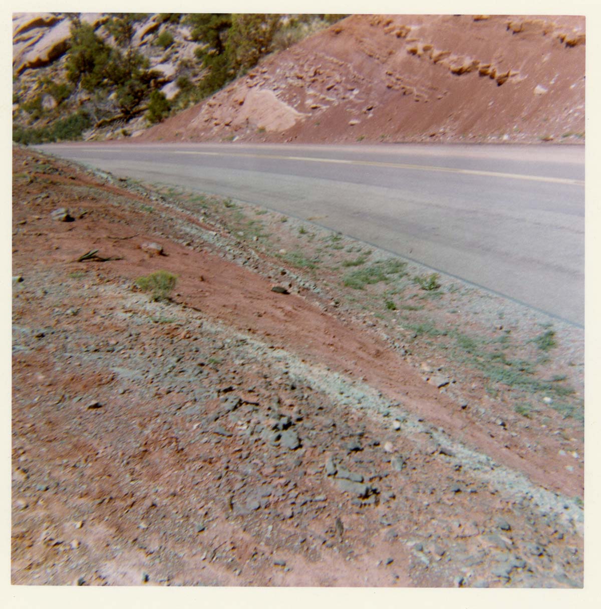 Color photo of the completion of the Kolob Canyon Road hydroseeding experiment.