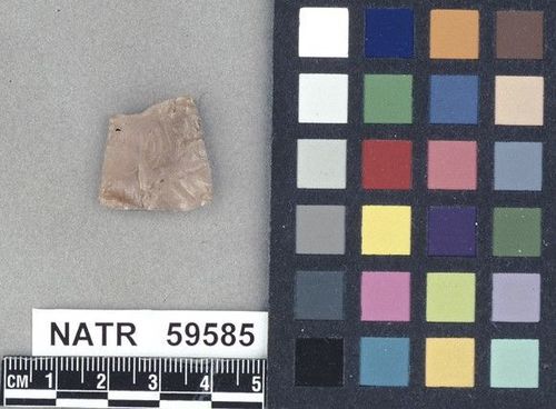 NATR   59585 -- Untyped projectile point