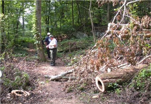 CHCH - YCC on Mt. Beautiful Trail adding 2 sets of sets with 2 landings