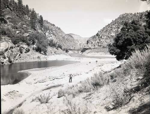 Water use in Hop Valley: irrigation, improper land use, and overgrazing to refute water diversion rights claim under grazing permit.