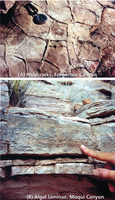 Two photographs of features typically found in the “oasis” deposits in the Navajo Sandstone. 