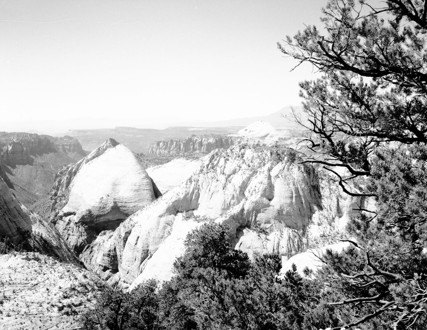 View west from West Rim trail, near Sleepy Hollow, Great West Canyon (also called Left Fork of North Creek) in foreground, Pine Valley Mountains in distance.