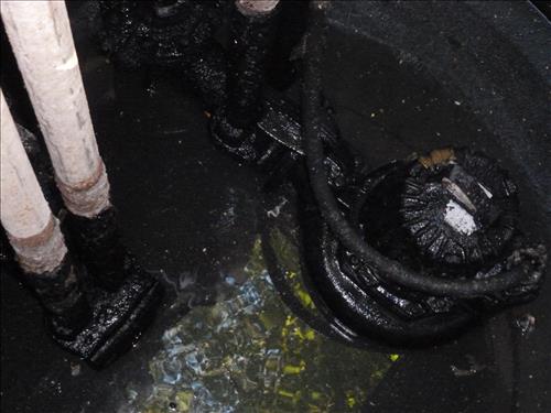 Replace 6 Sewage Pumps in Cabin Camps 1 and 4