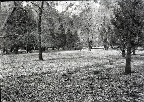 View across cemetery before wall was built.