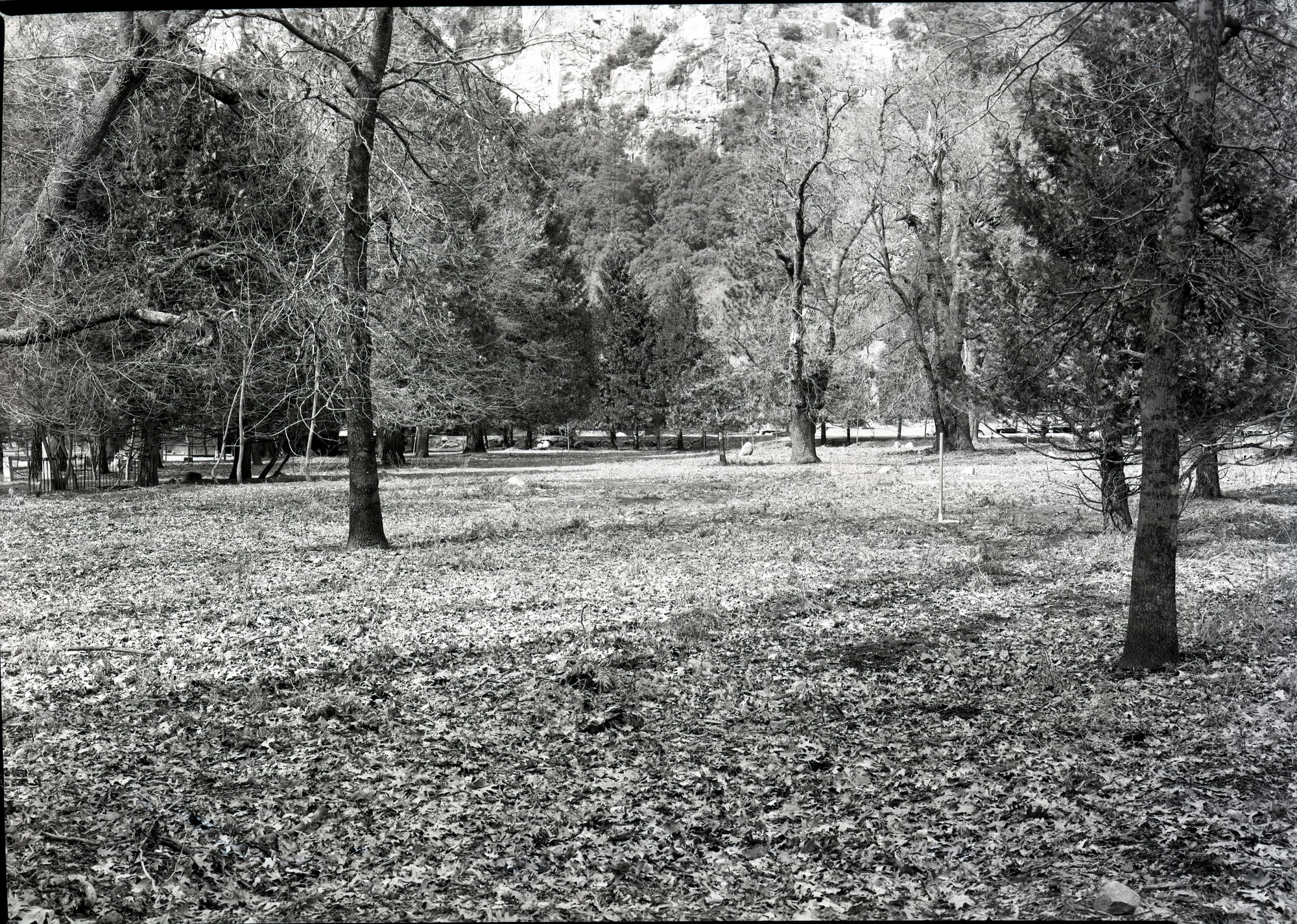 View across cemetery before wall was built.