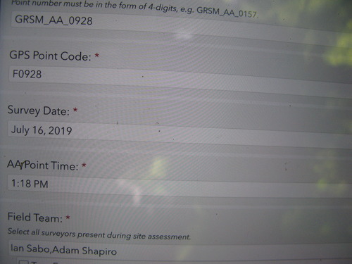 GRSM Accuracy Assessment. Plot Code: GRSM_AA_0928_1