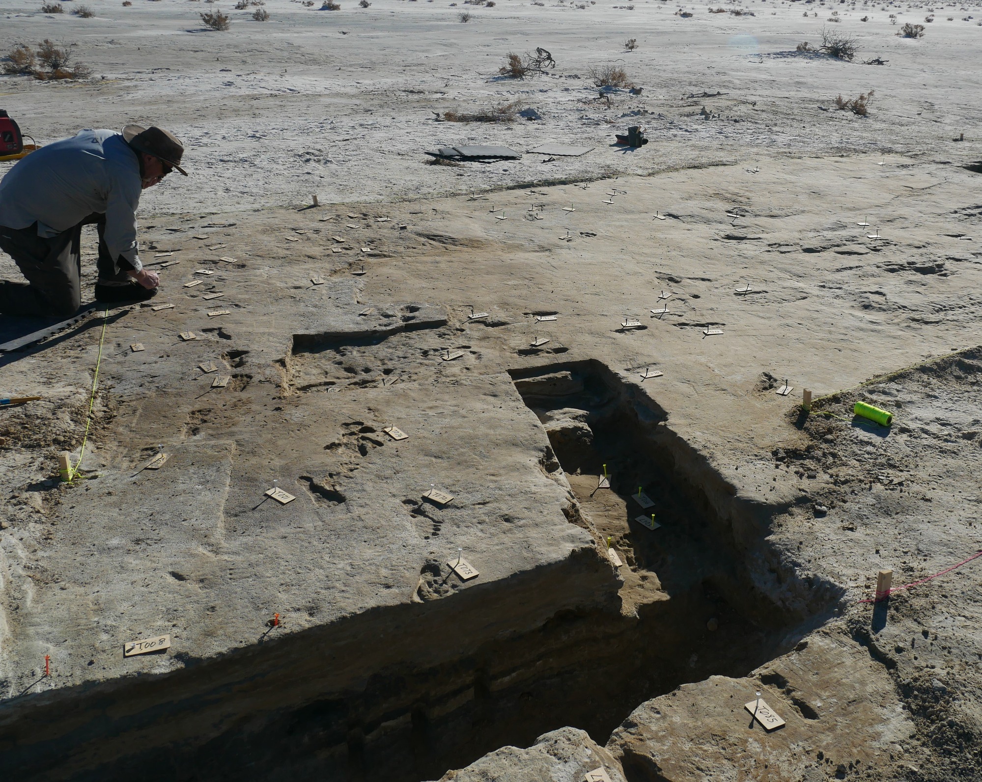 A researcher kneels down next to some footprints and documents each print using tags. 