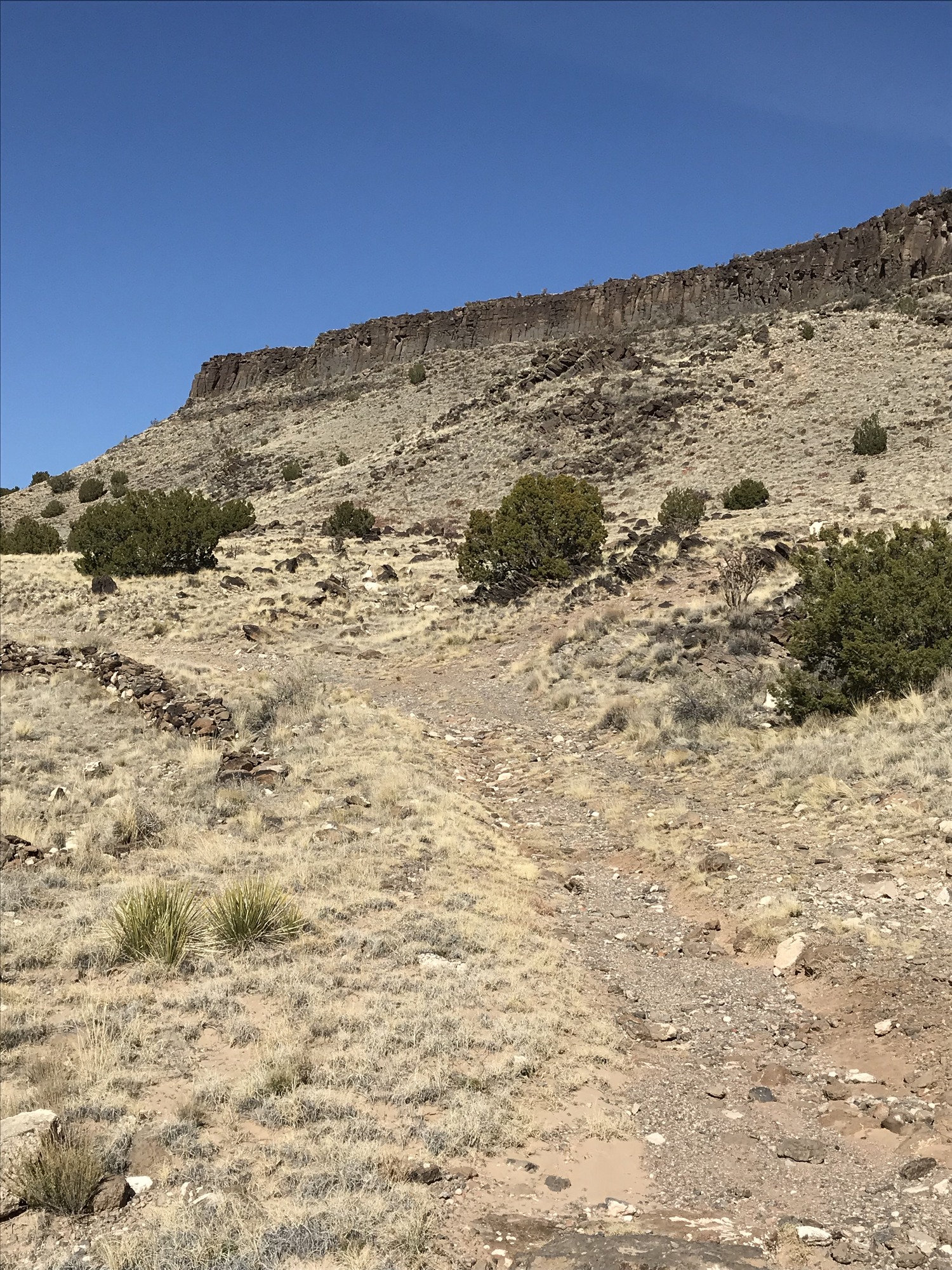 A dirt trail in the desert with a mountain in the background.