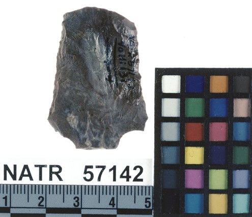 NATR   57142 -- Untyped projectile point