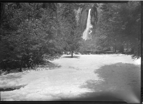 Lower Yosemite Fall and Yosemite Creek