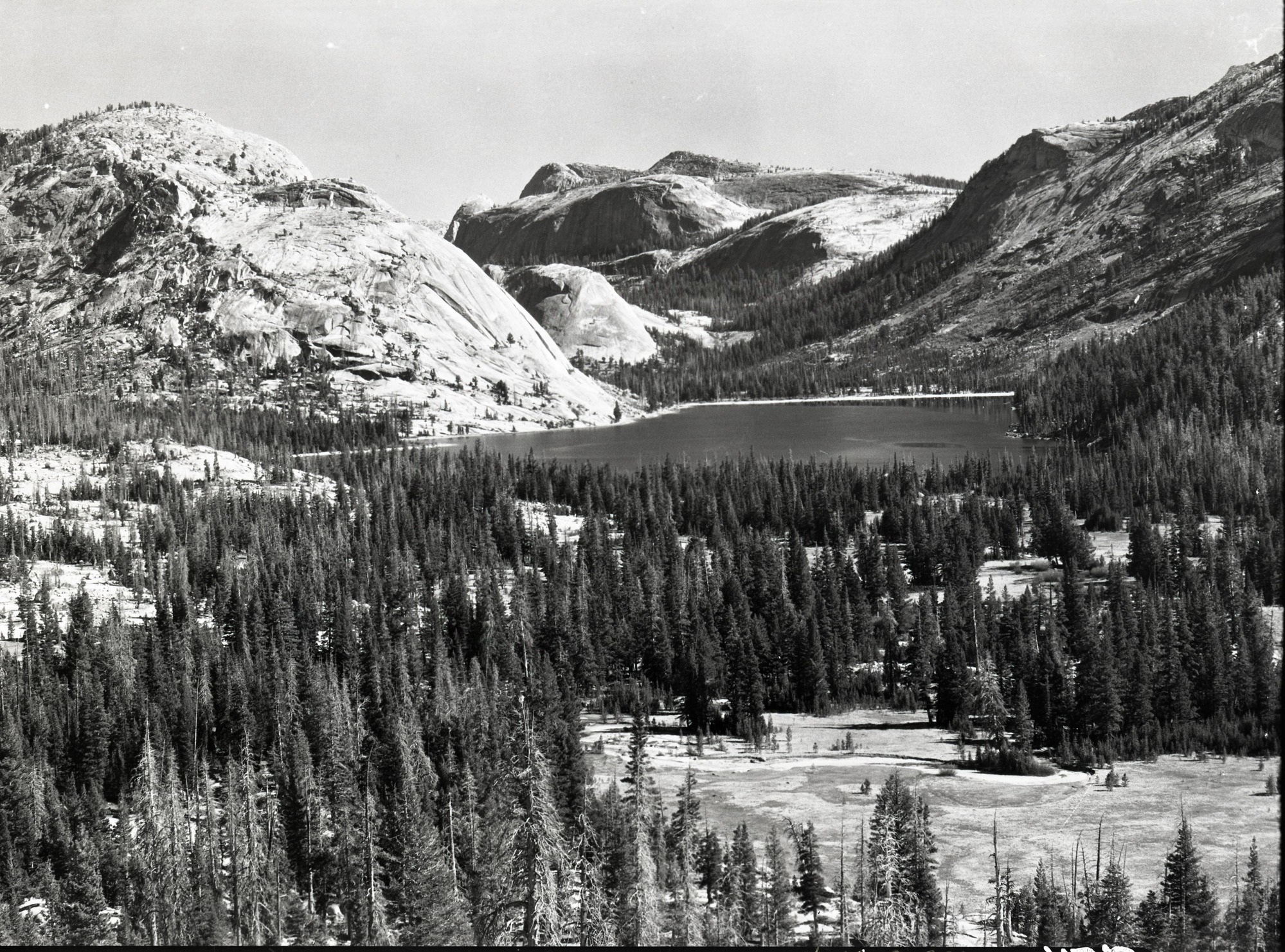 From Granite knoll near old road.
