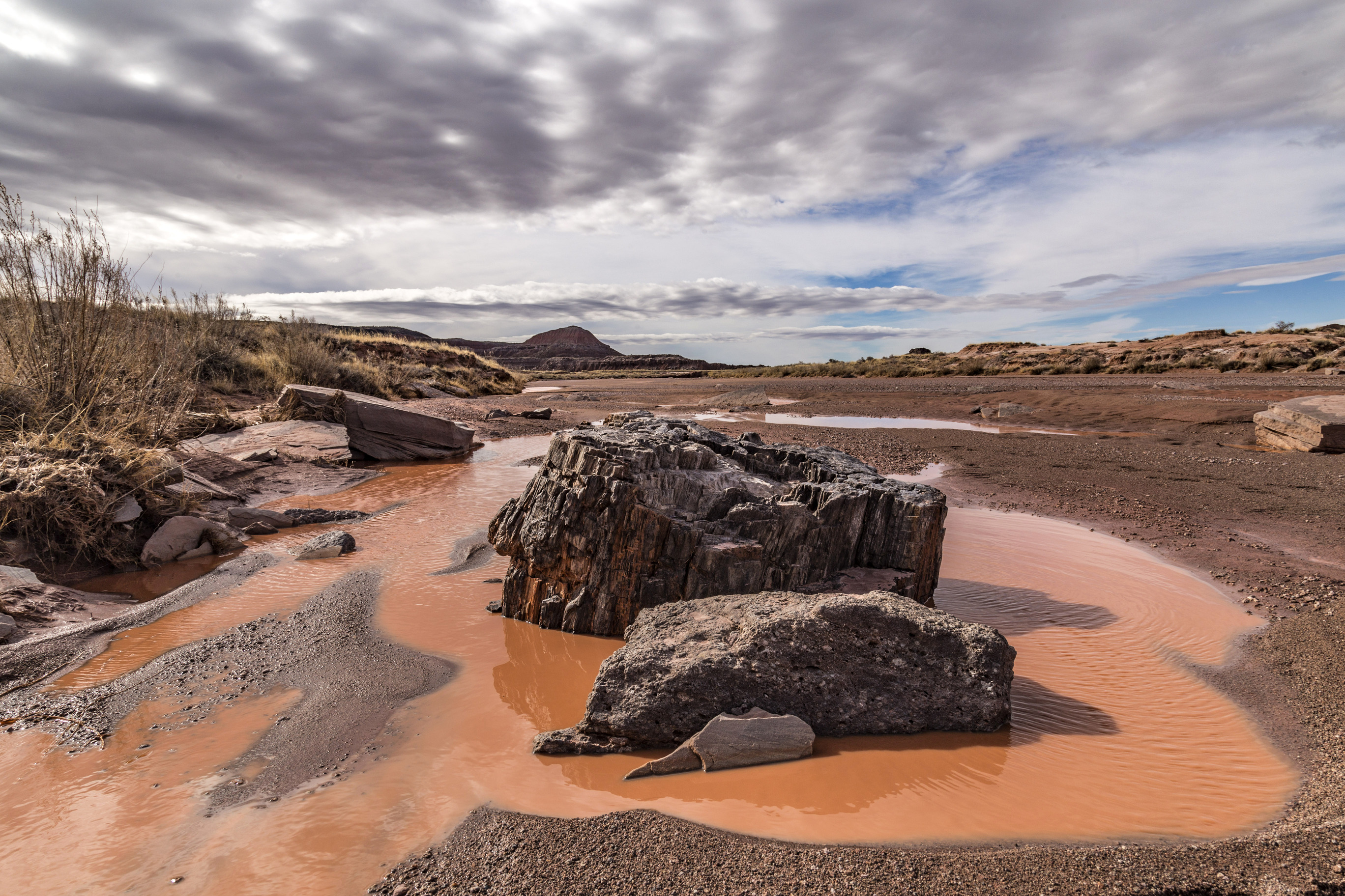 Petrified wood in a silty pool of water in red landscape