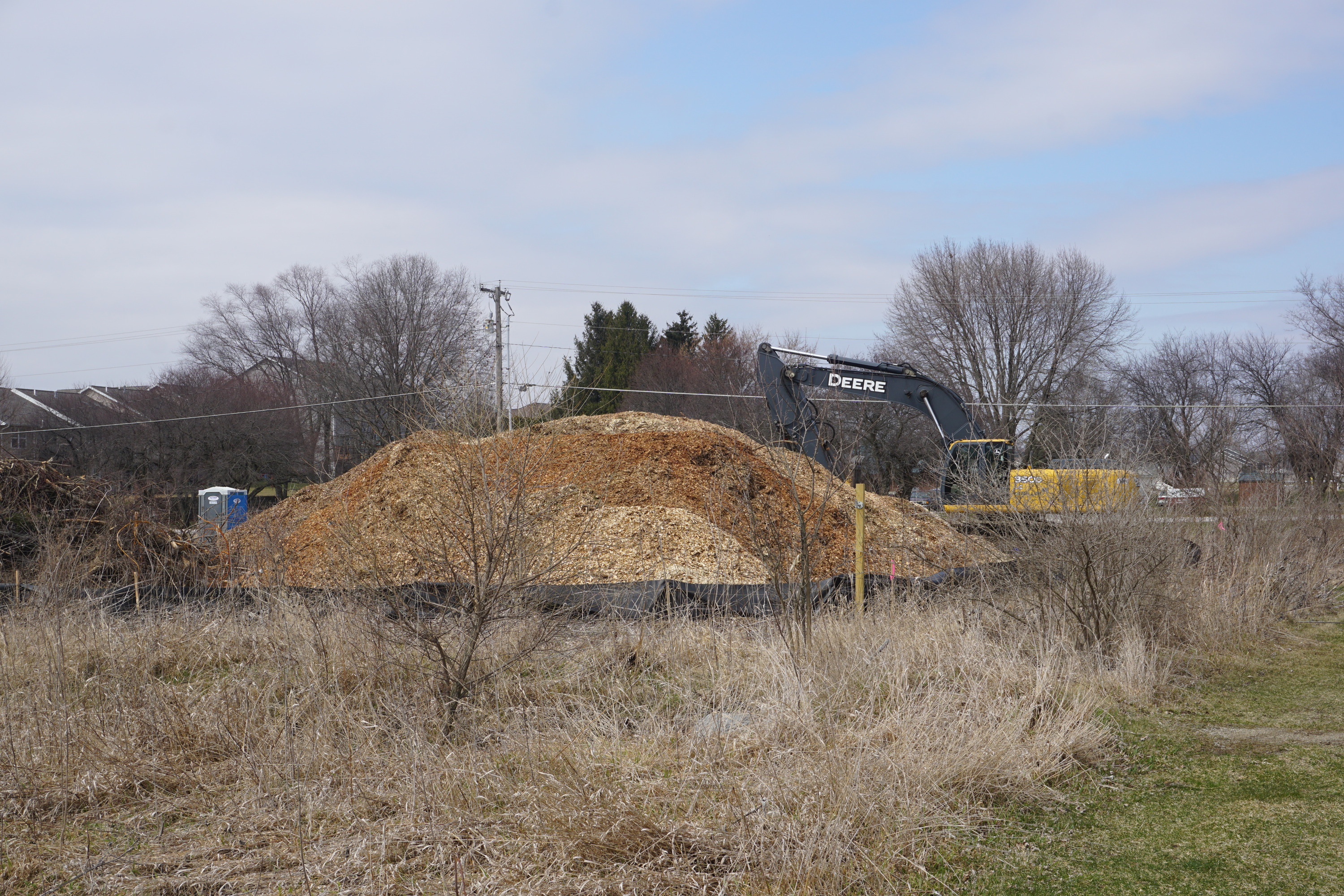 Brown, dead weeds in foreground. Center of image dominate by large pile of wood after being run through a chipper.