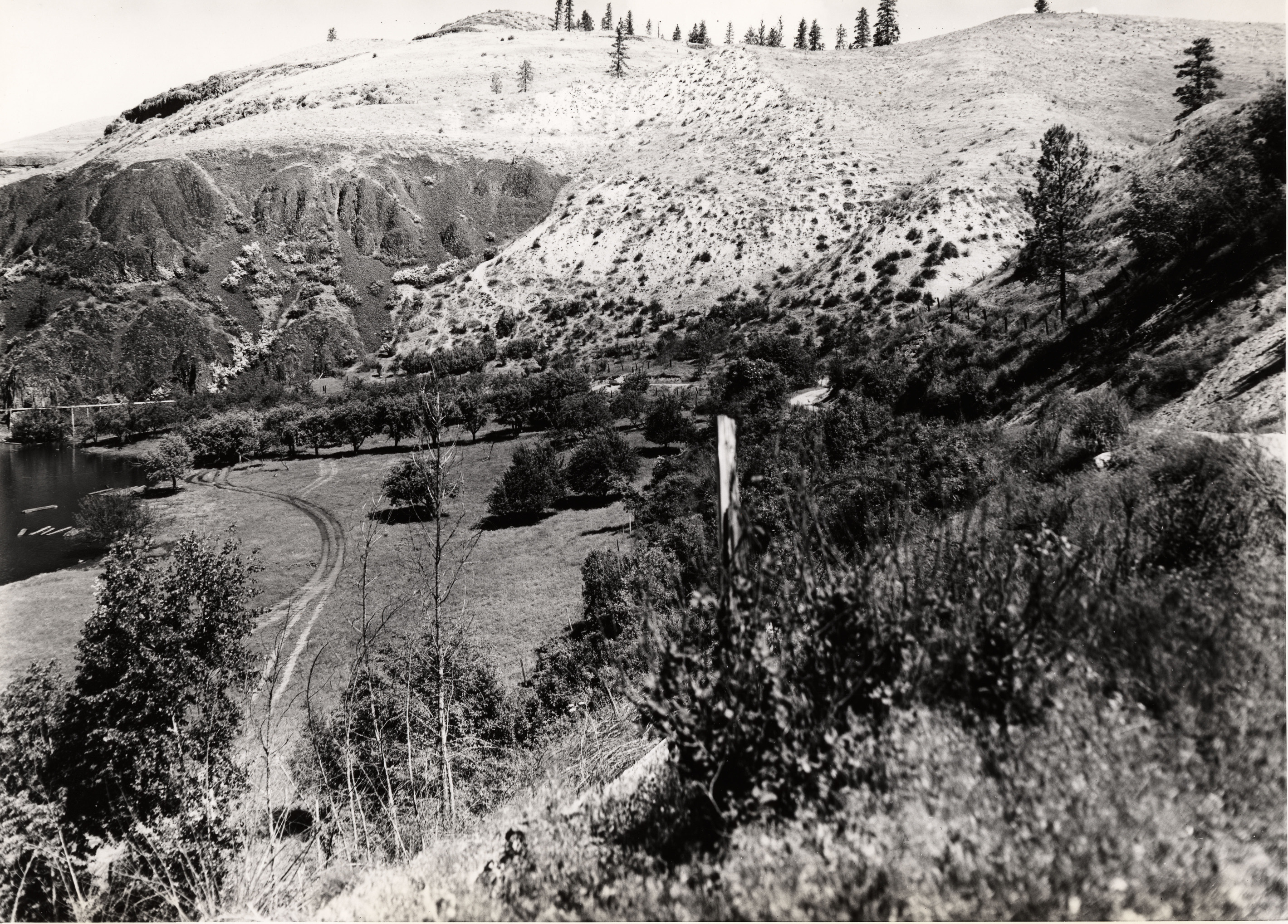 Black and white photograph of a clearing surrounded by trees next to a body of water, surrounded by steep rocky cliffs
