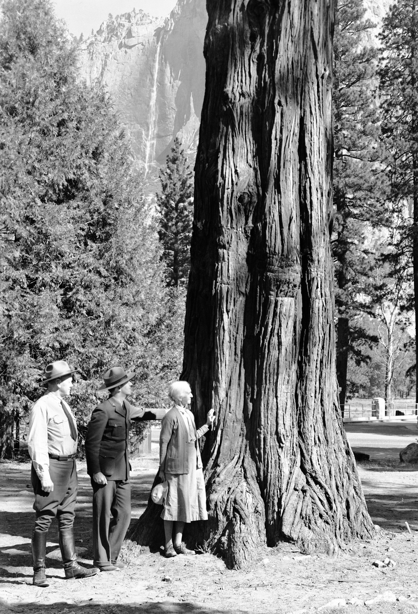 Gertrude Hutchings Mills - 2nd white child born in Yosemite Valley. Back after 40 years absence. Identifying the mark on the cedar tree where the roof of the Cedar Cottage was.