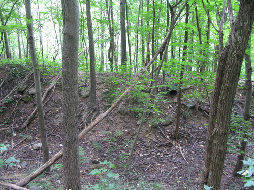 GRSM Accuracy Assessment. Plot Code: GRSM_AA_0707_4