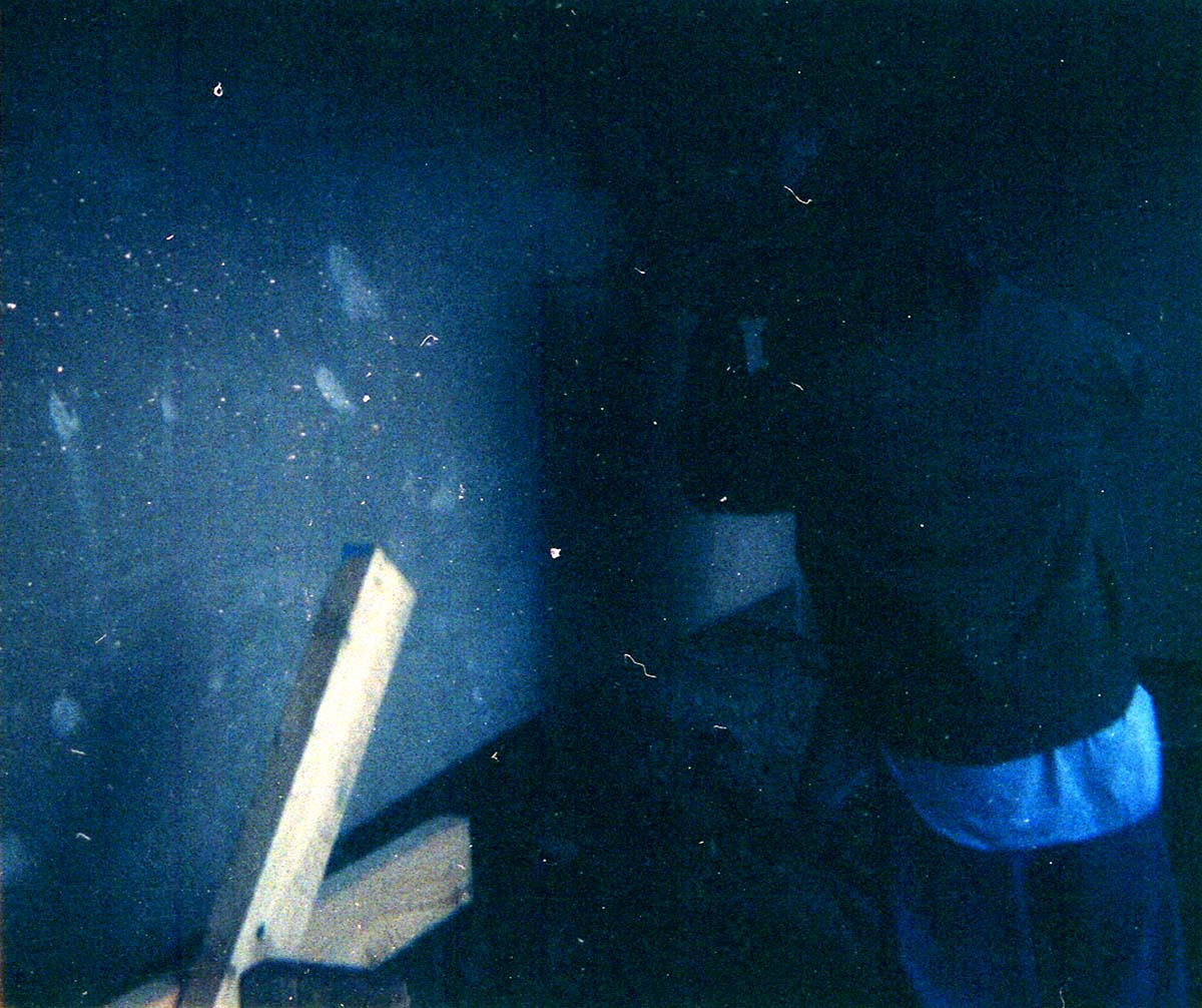 The construction of the Wiley Spring water vault.